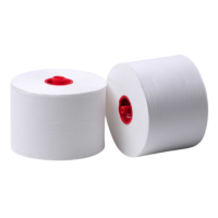 נייר טואלט פטנט 100 מטר    | 36 גלילים במארז Double-Roll